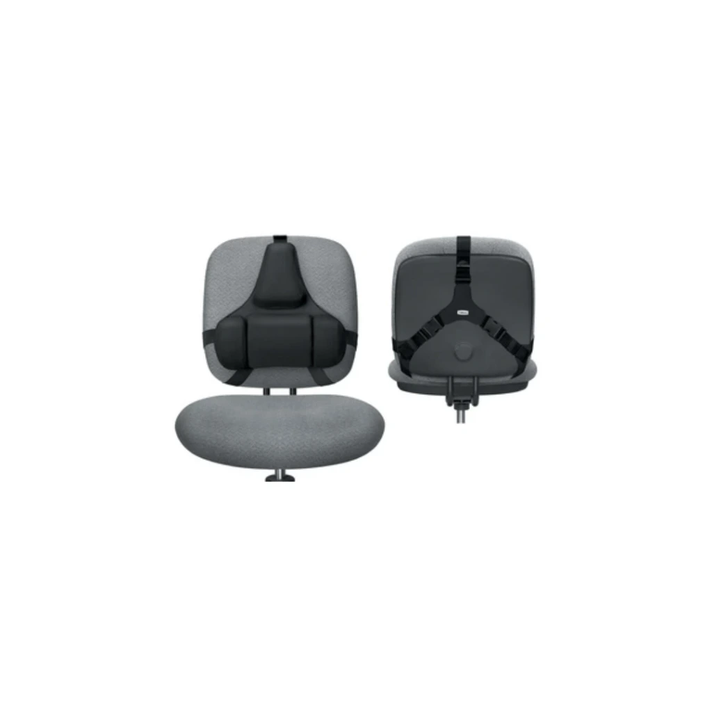 Fellowes dossier Professionnel Series Profi, repose dos,noir