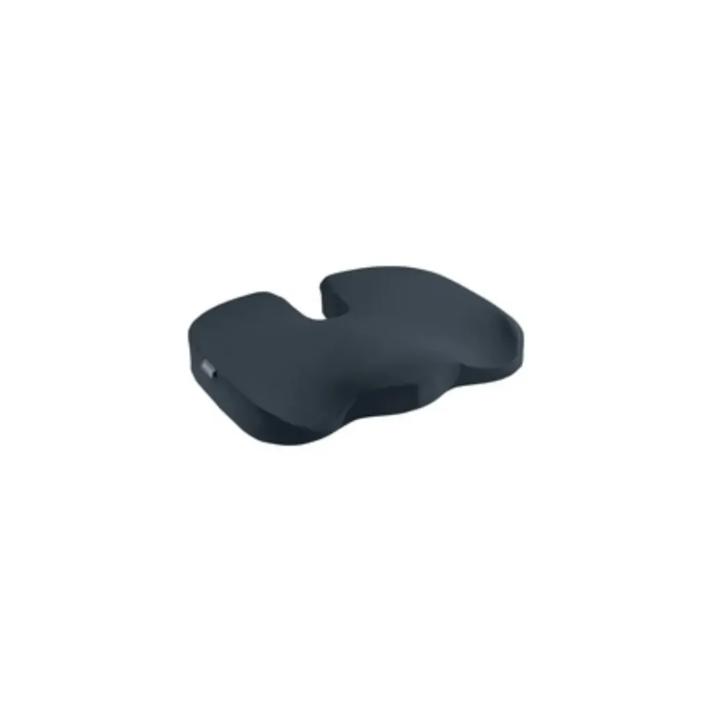 LEITZ Coussin d'assise Ergo Cosy, gris